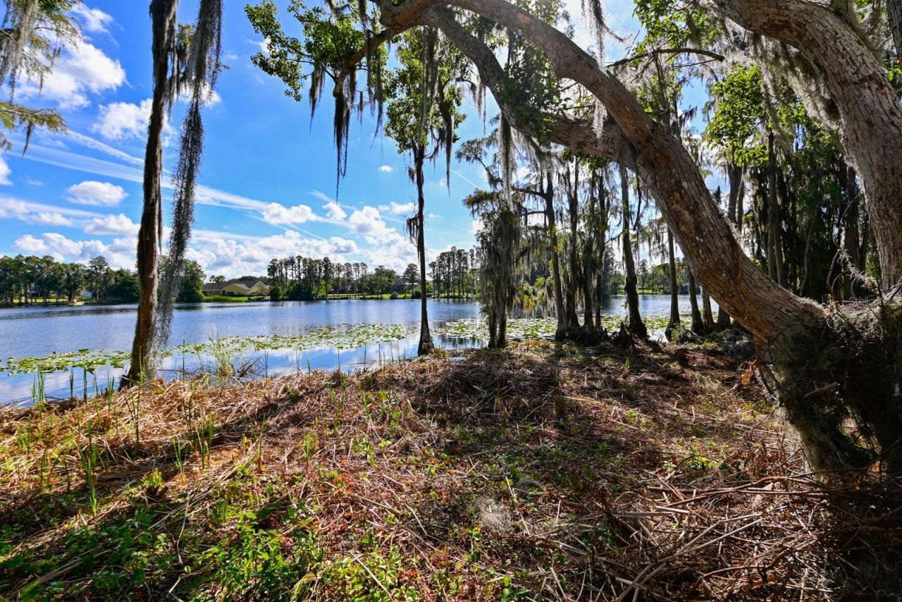 105 Bellamere Palms Court, Lutz, FL 33549 Photo