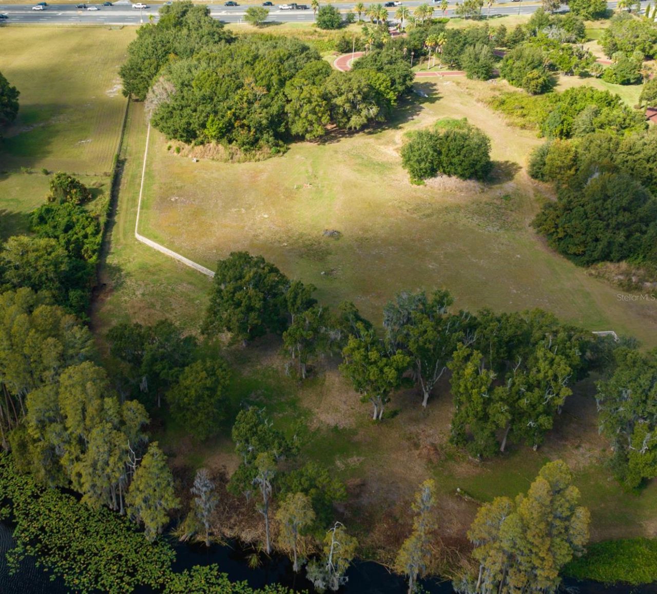 105 Bellamere Palms Court, Lutz, FL 33549 Photo