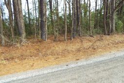 0 Dennis Drive photo 4