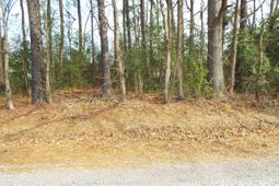 0 Dennis Drive photo 4