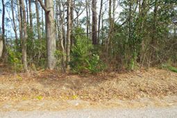 0 Dennis Drive photo 4