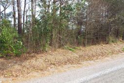 0 Dennis Drive photo 4