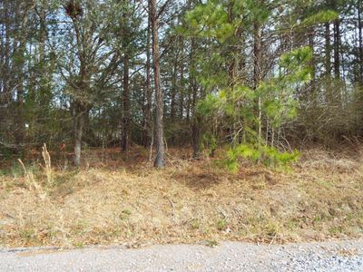 0 Dennis Drive, Unit Lot 27, Goose Creek, SC 29445