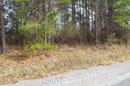 0 Dennis Drive photo 4