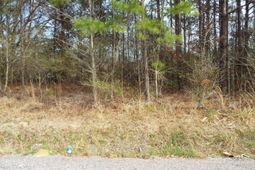 0 Dennis Drive photo 4