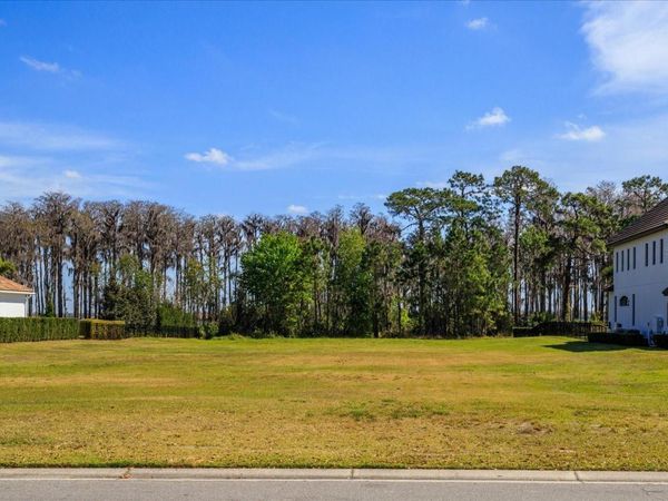 6161 GROSVENOR SHORE DRIVE, WINDERMERE, FL 34786