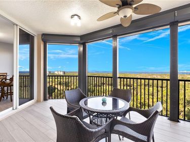 23650 Via Veneto, Unit 802, BONITA SPRINGS, FL 34134
