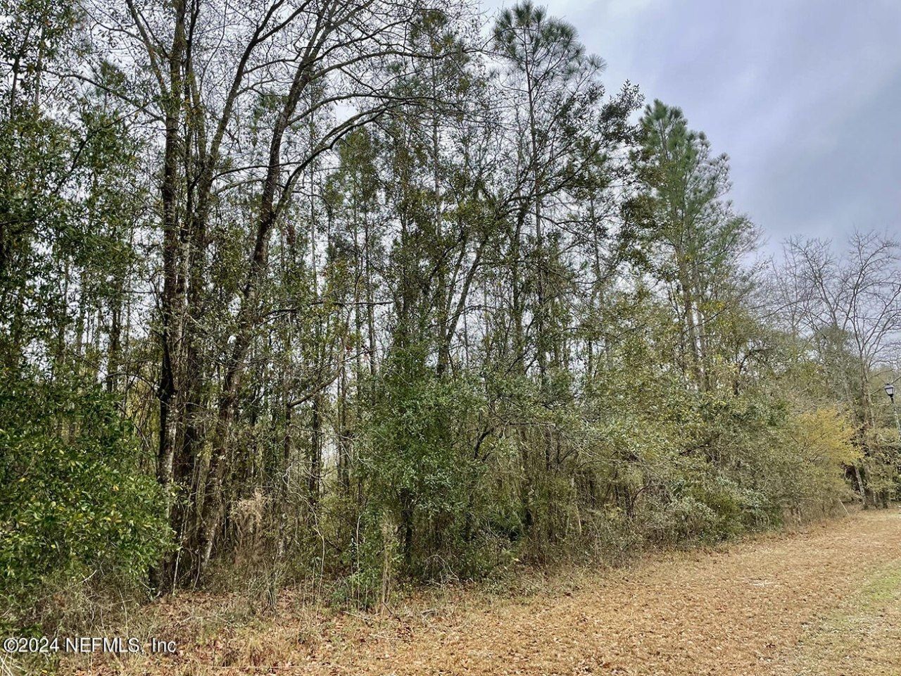 15436 Bullock Bluff Road, Bryceville, FL 32009 Photo