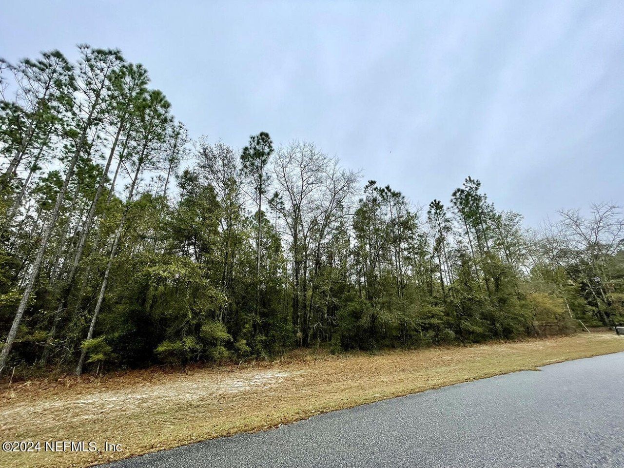 15436 Bullock Bluff Road, Bryceville, FL 32009 Photo