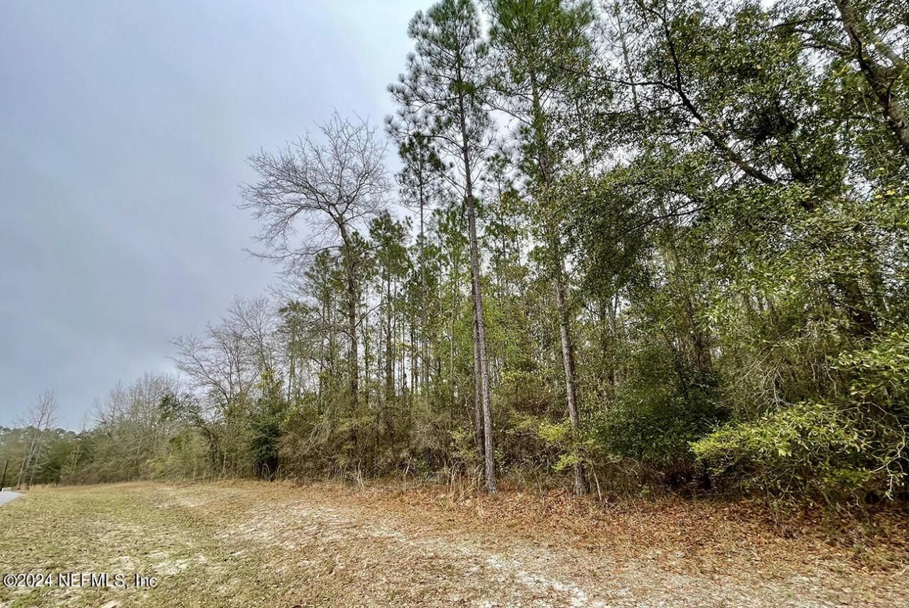 15436 Bullock Bluff Road, Bryceville, FL 32009 Photo