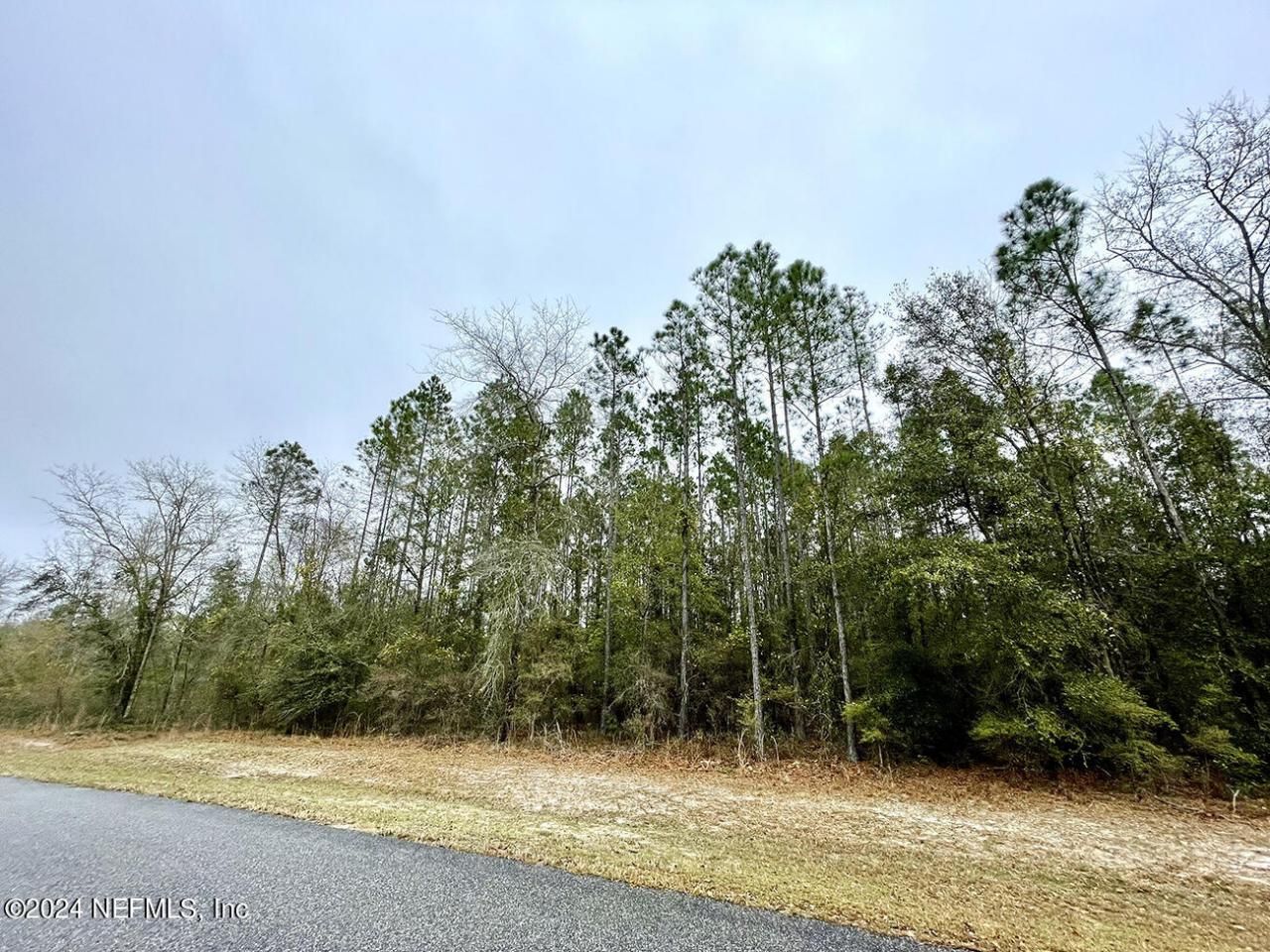 15436 Bullock Bluff Road, Bryceville, FL 32009 Photo