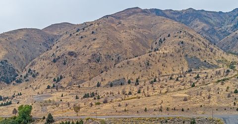 2030 Goldfield Drive, Gardnerville, NV 89410 Photo