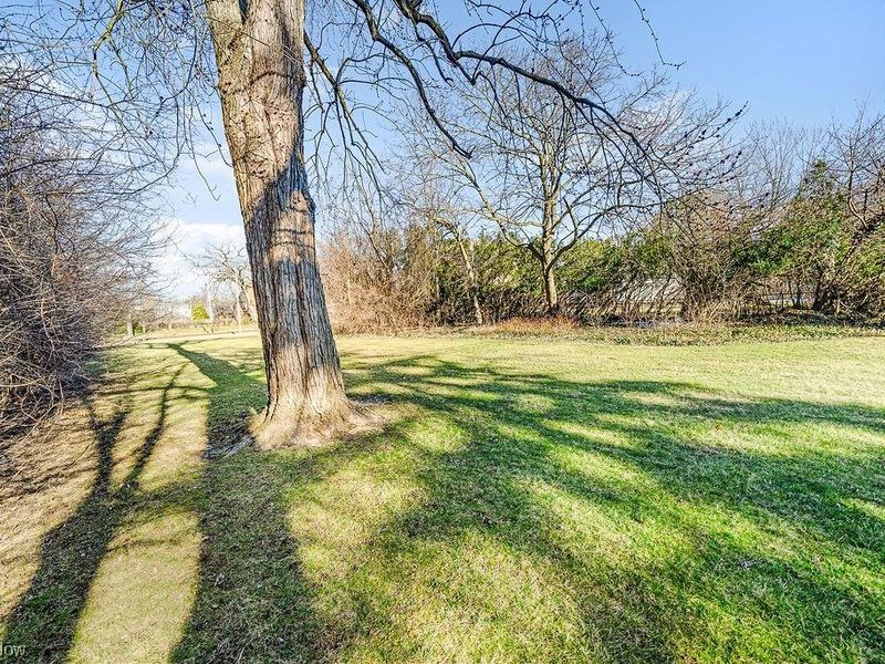 3152 Van Aken Boulevard, Shaker Heights, OH 44120 Photo 6