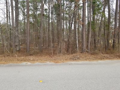 0 Sorin Circle, Elloree, SC 29047