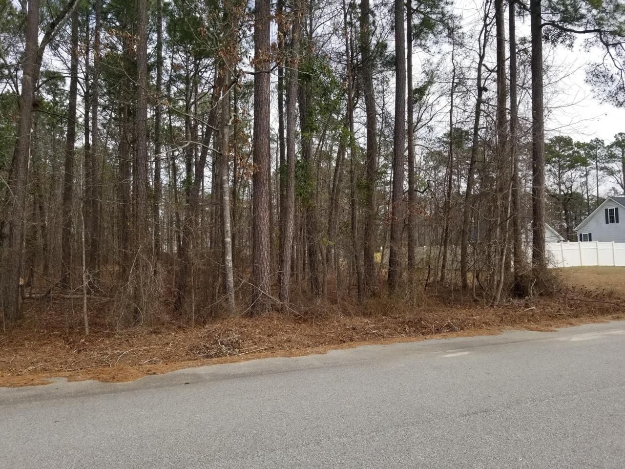 0 Sorin Circle Photo 4