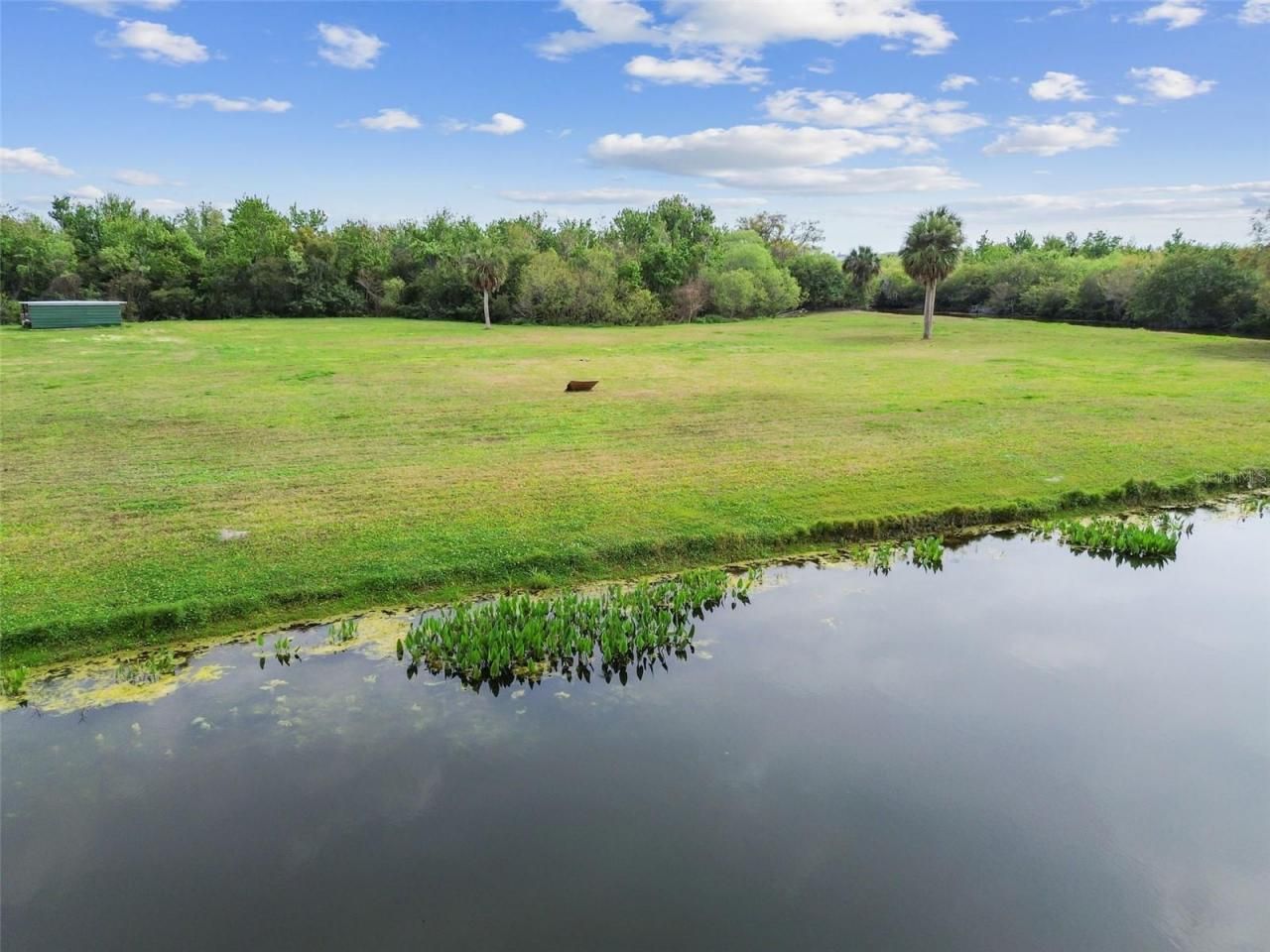 Kibler Ln, Holiday, FL 34691 Photo