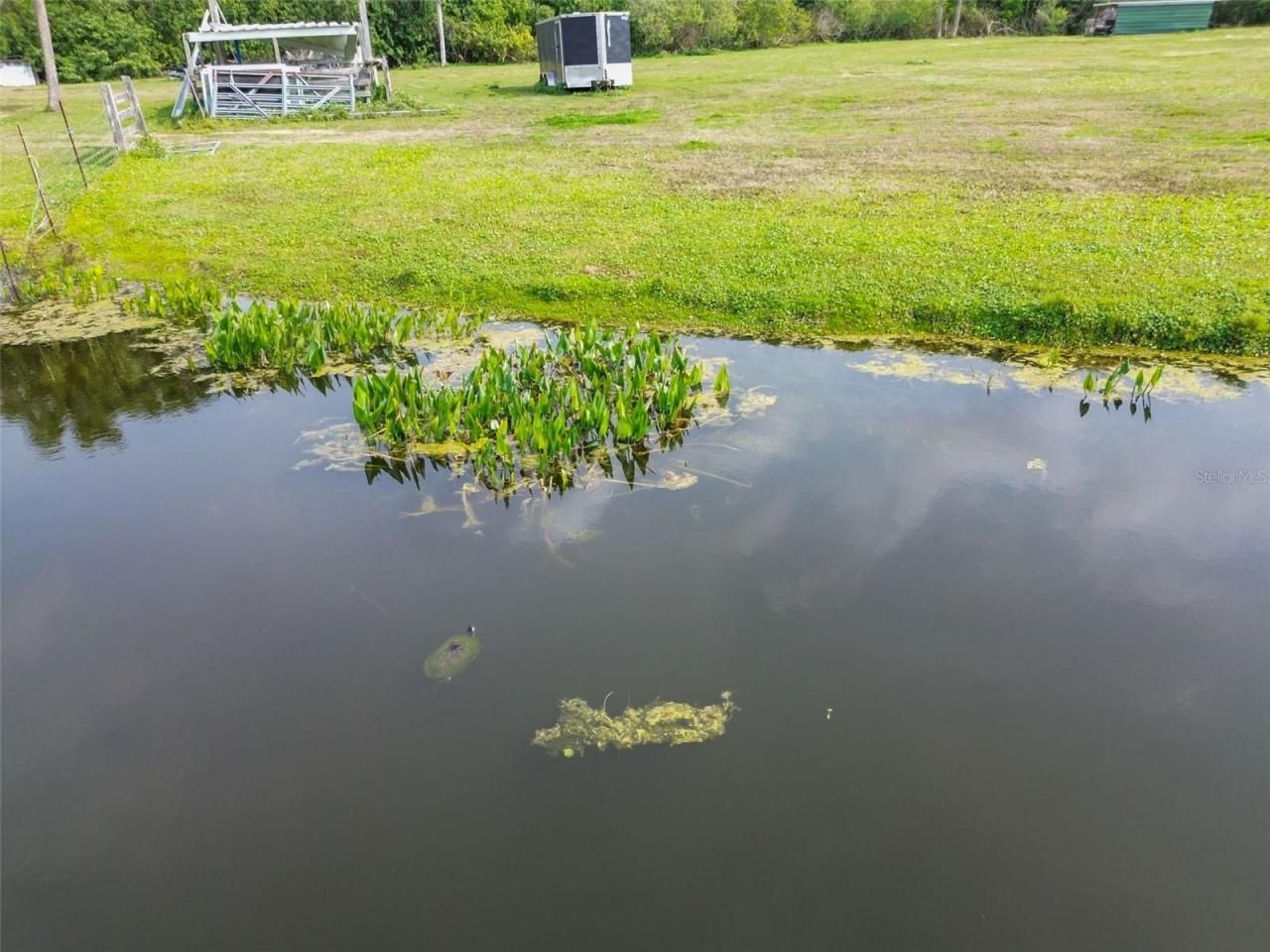 Kibler Ln, Holiday, FL 34691 Photo