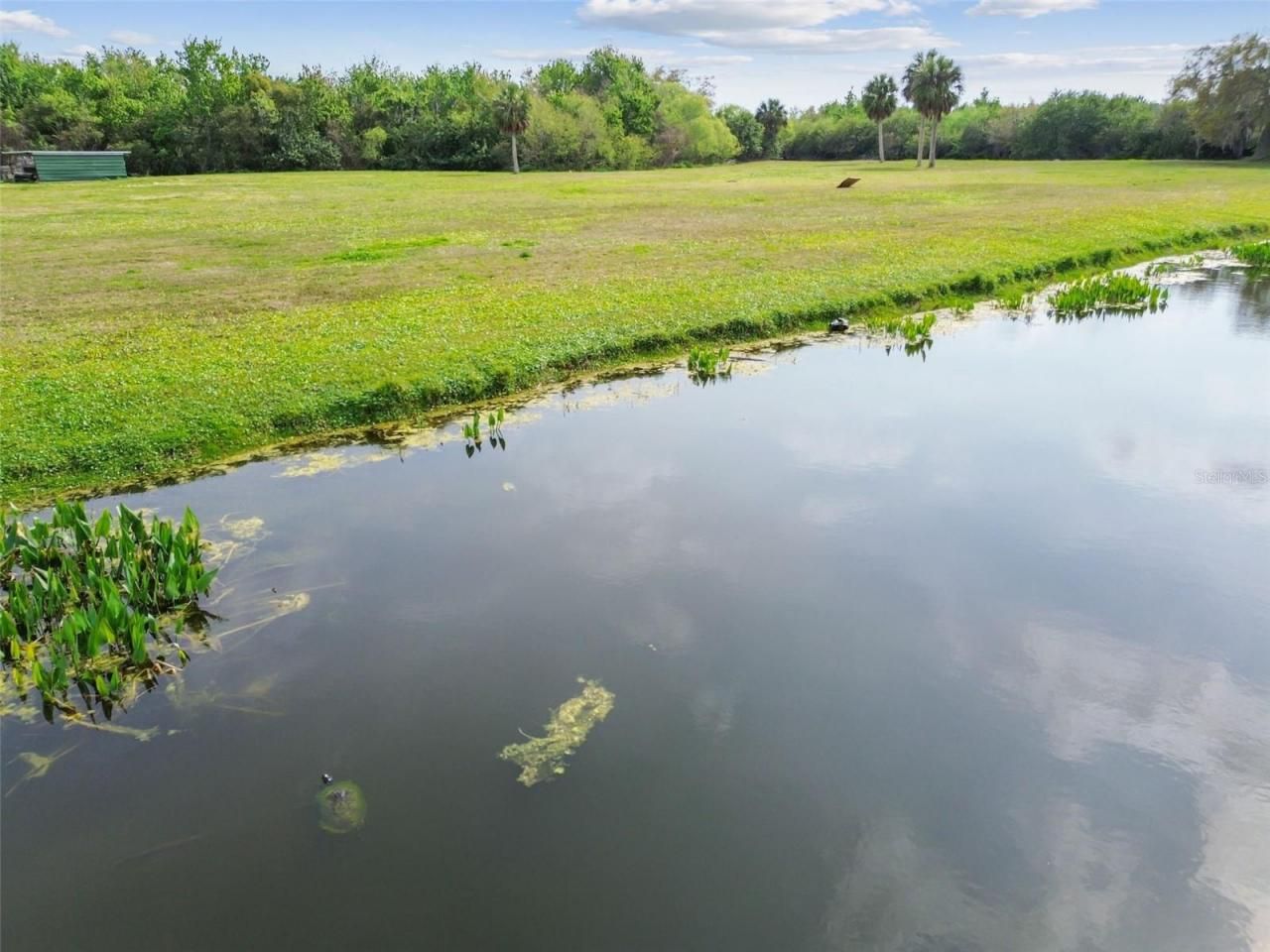 Kibler Ln, Holiday, FL 34691 Photo