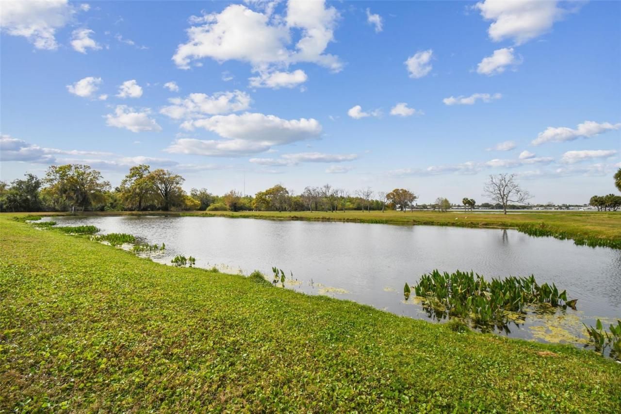 Kibler Ln, Holiday, FL 34691 Photo