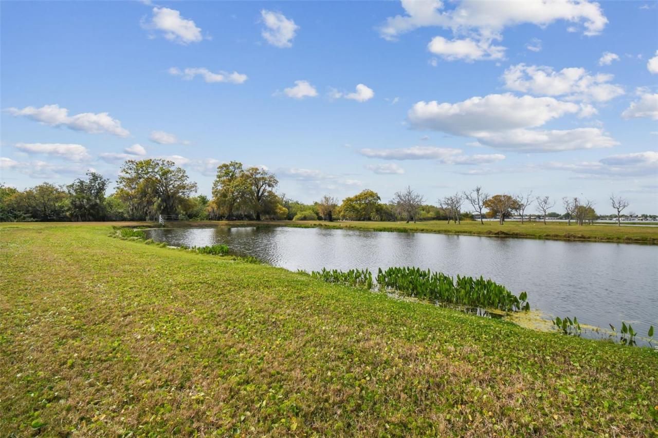 Kibler Ln, Holiday, FL 34691 Photo