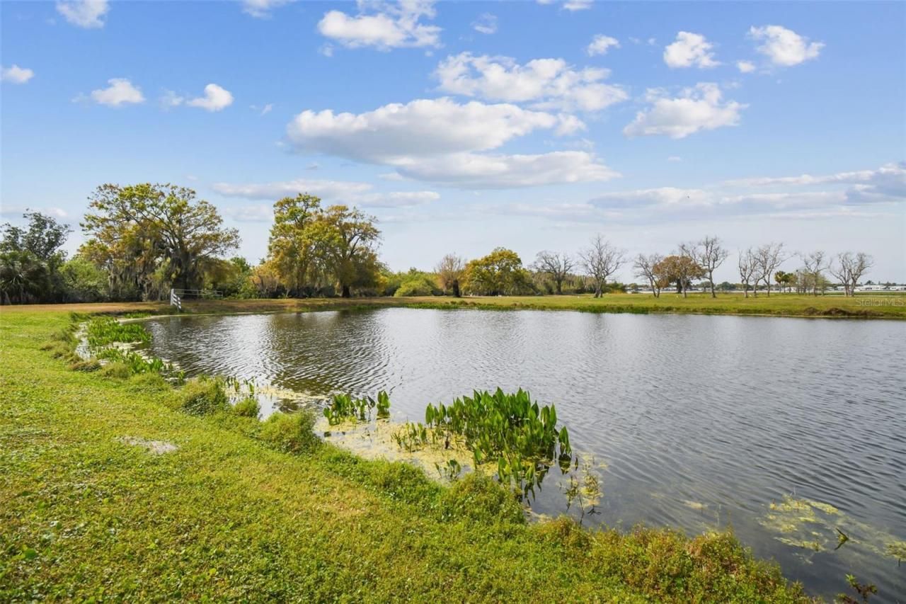 Kibler Ln, Holiday, FL 34691 Photo