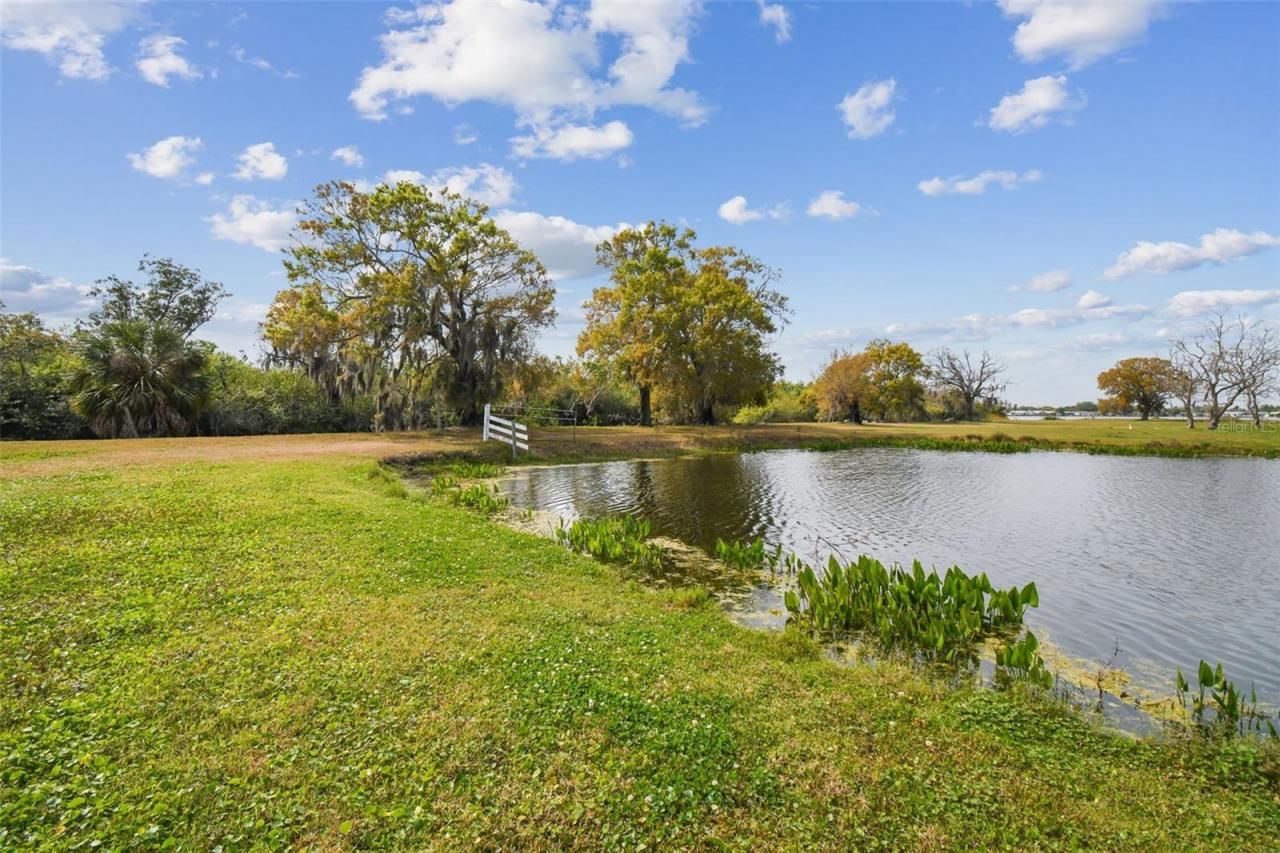 Kibler Ln, Holiday, FL 34691 Photo