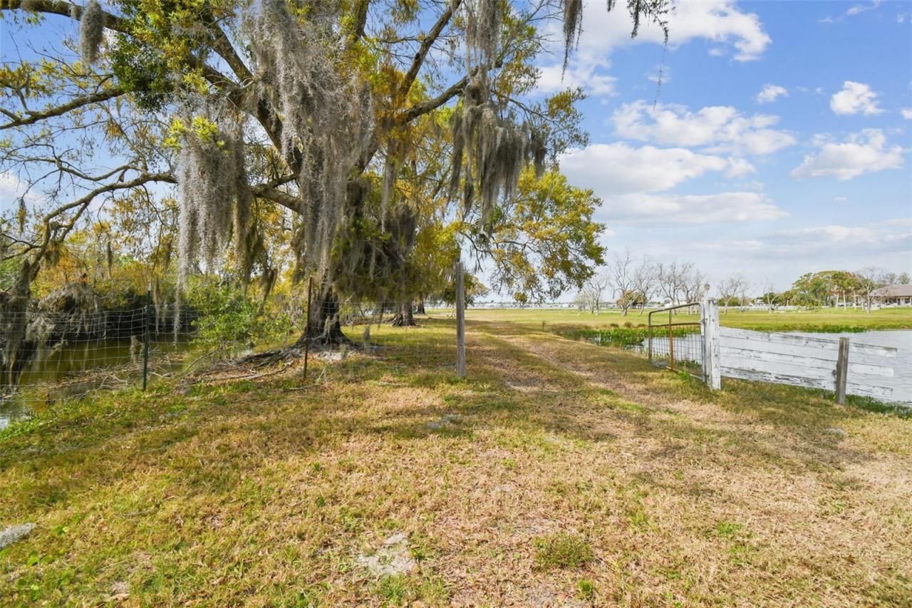 Kibler Ln, Holiday, FL 34691 Photo