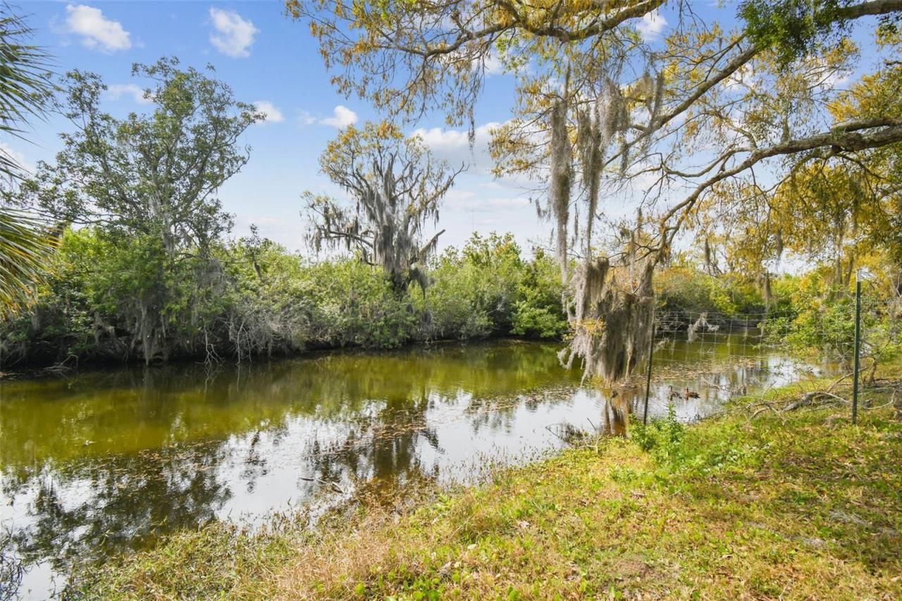 Kibler Ln, Holiday, FL 34691 Photo