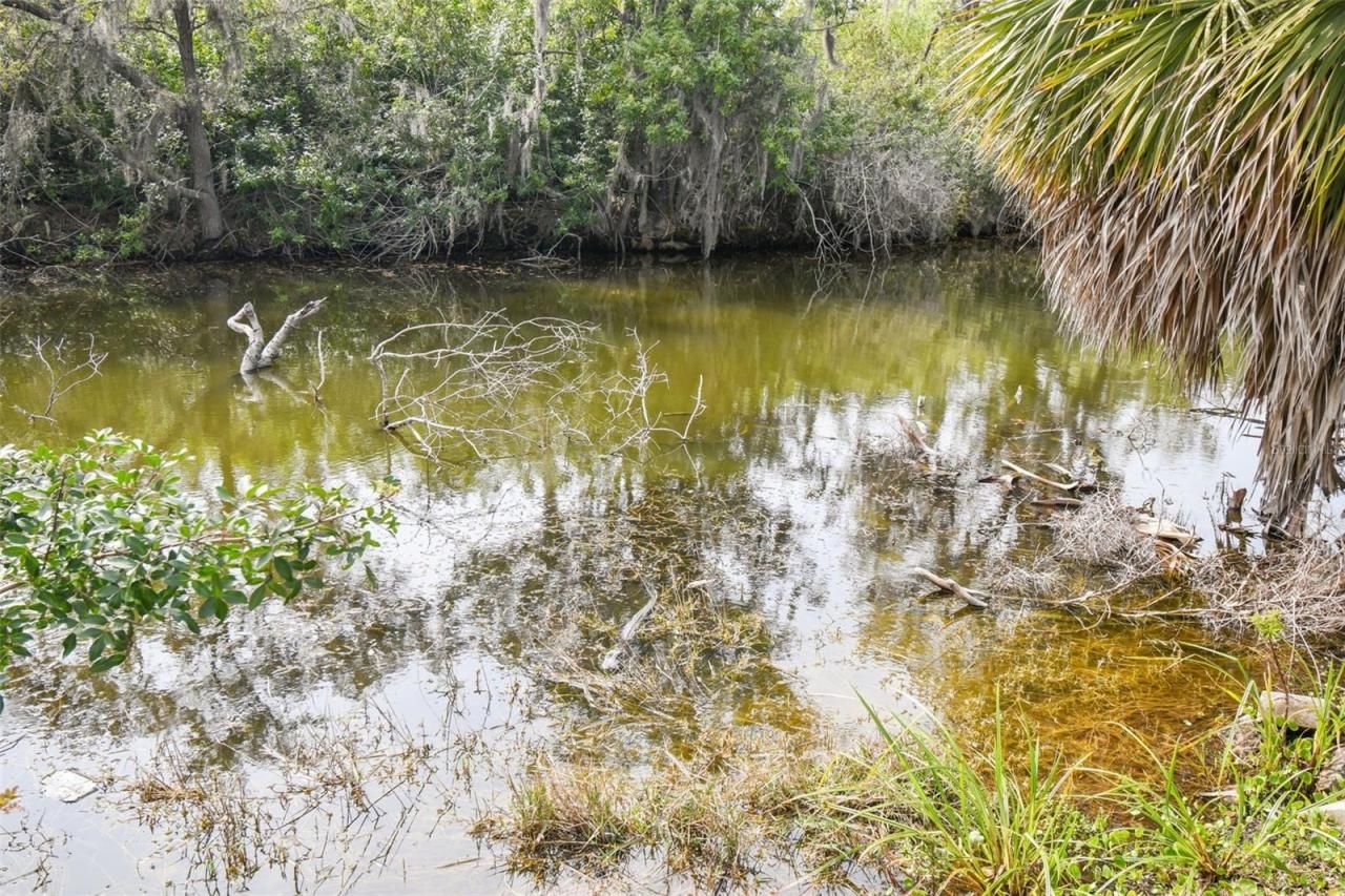 Kibler Ln, Holiday, FL 34691 Photo