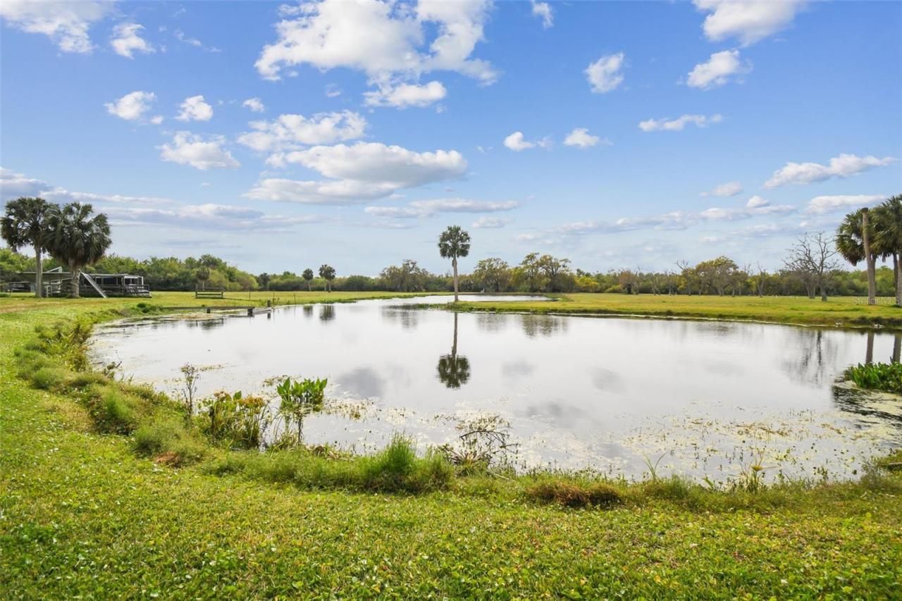 Kibler Ln, Holiday, FL 34691 Photo