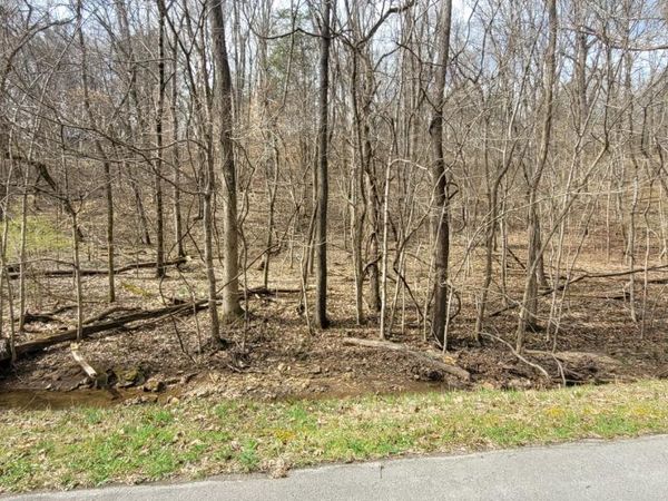 1 Lakeshore Cir, Dover, TN 37058