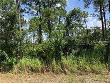 1127 LAKE GROVES ROAD NW, LAKE PLACID, FL 33852