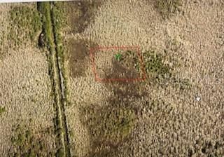 Na, Deland, FL 32724 Photo