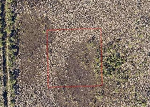 Na, Deland, FL 32724 Photo