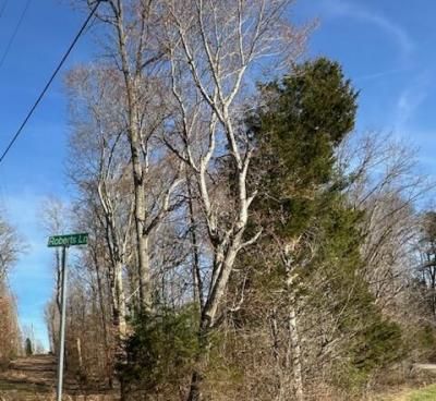 00 Ky-196 & D Johnson Road Road, Nancy, KY 42544 Main Photo