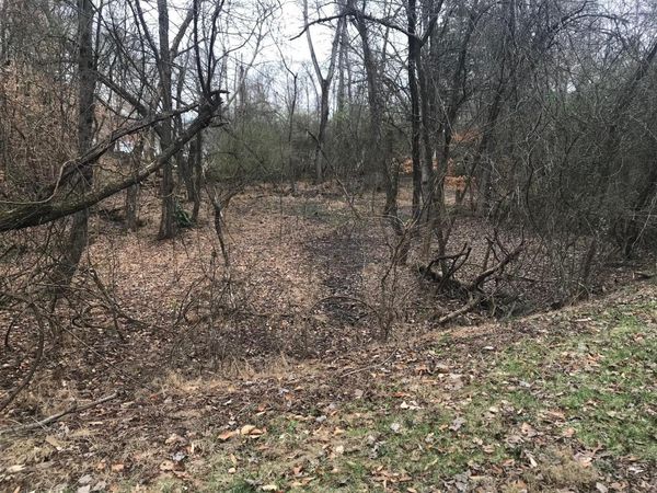 Lot 50 Cherokee Circle, Ten Mile, TN 37880
