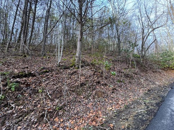 Lot 10 Black Gum Gap Road, Gatlinburg, TN 37738