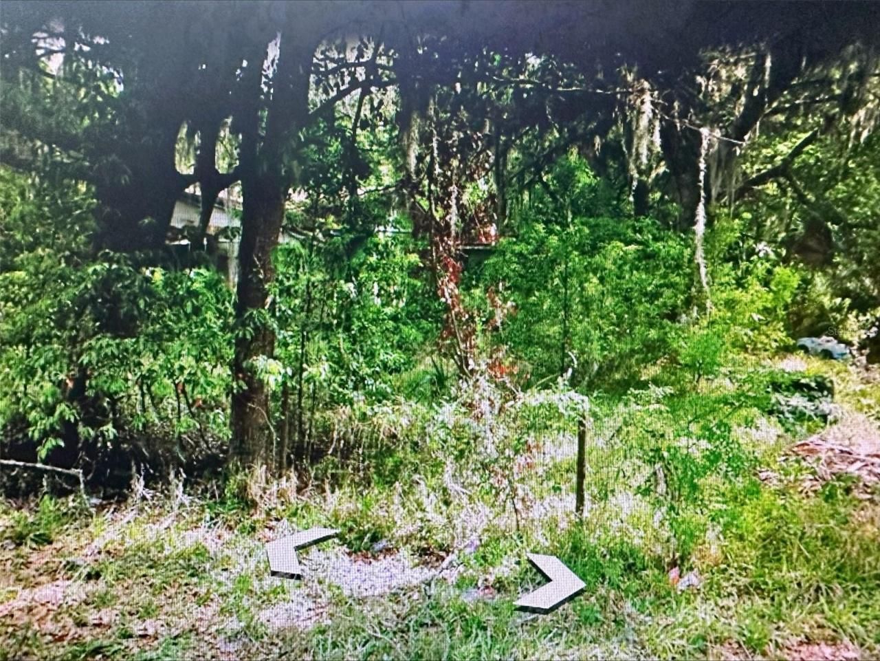 409 W Towles Avenue, Palatka, FL 32177 Main Photo