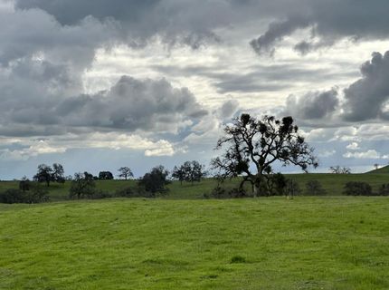 2090 Mohawk Ct, Ione, CA 95640 Photo