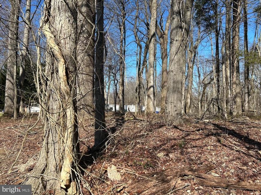 612 Traveller Court, Lothian, MD 20711 Main Photo