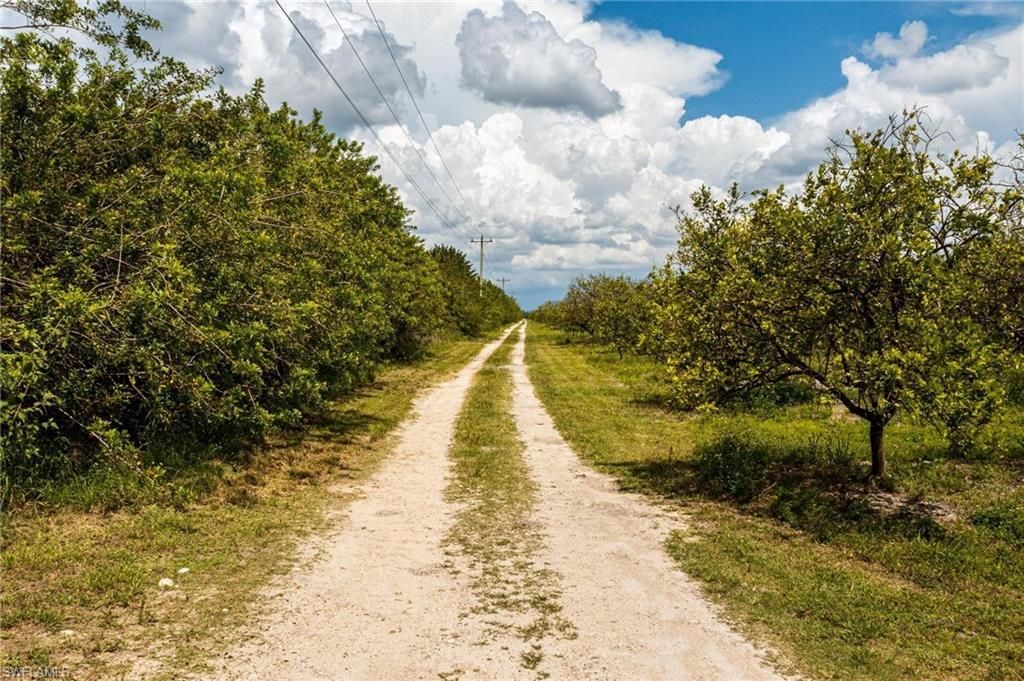 21979 Carter Rd, Estero, FL 33928 Photo