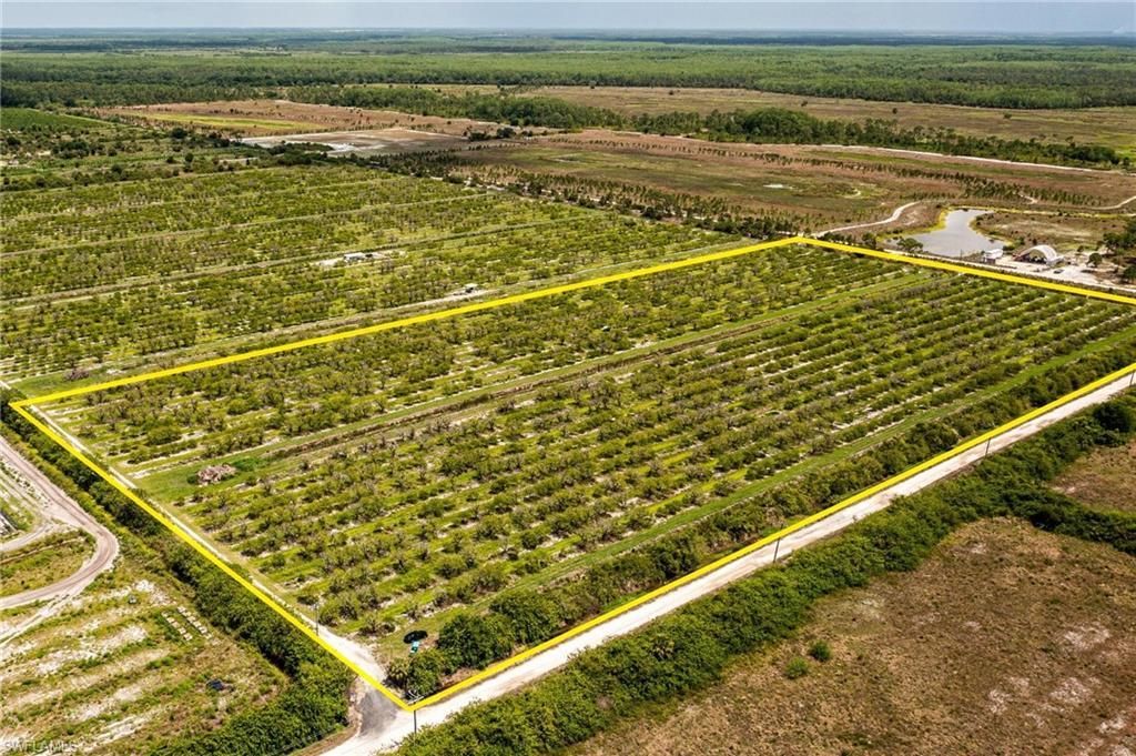 21979 Carter Rd, Estero, FL 33928 Photo