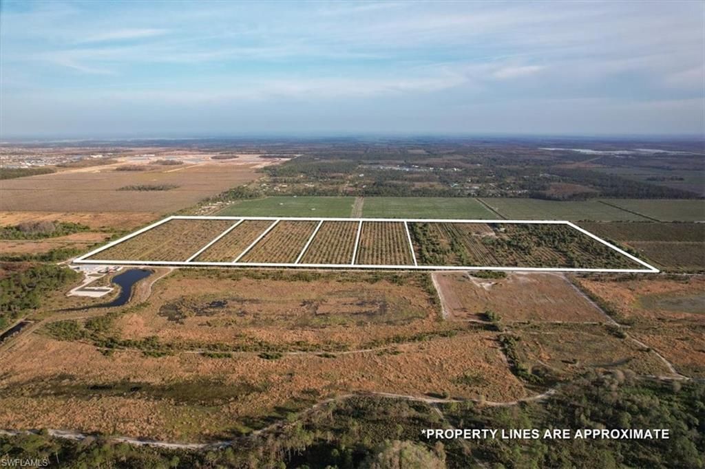 21983 Carter Rd, Estero, FL 33928 Photo