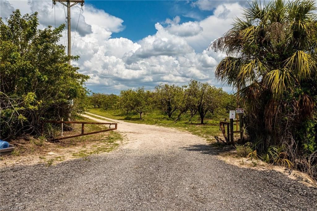 21987 Carter Rd, Estero, FL 33928 Photo