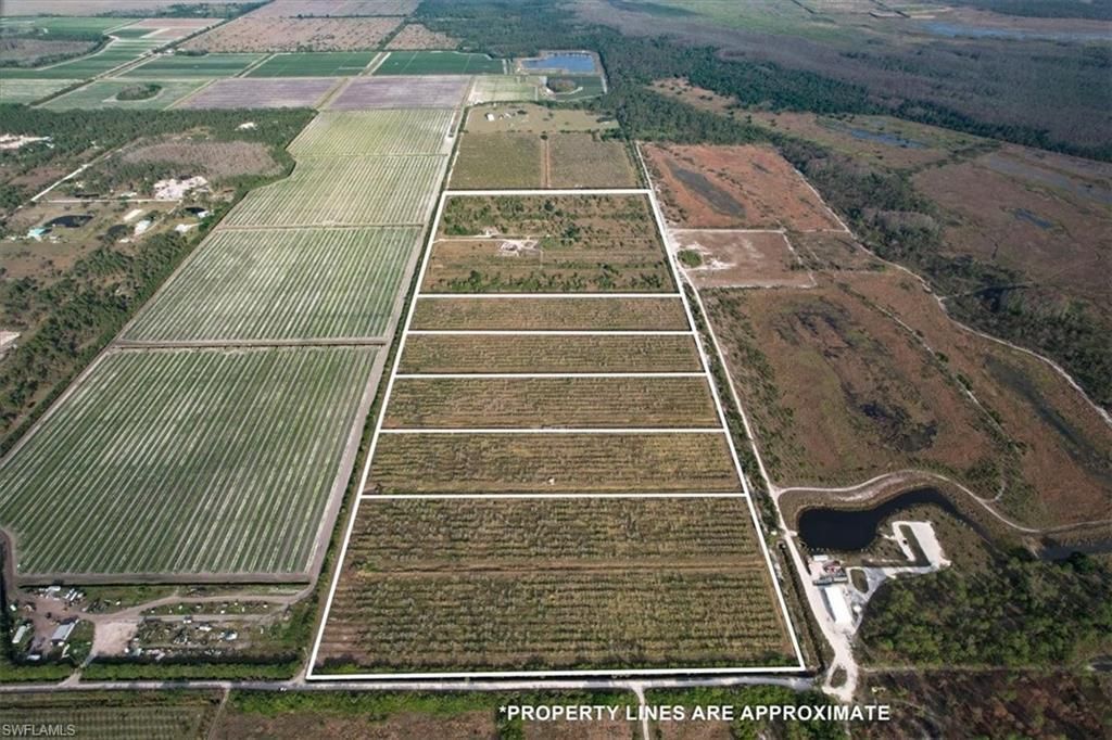 21987 Carter Rd, Estero, FL 33928 Photo