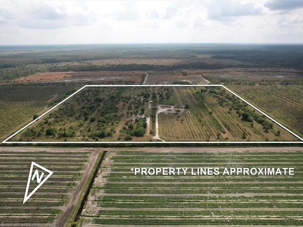 21999 Carter RD, ESTERO, FL 33928