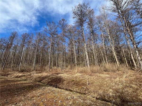 TBB Lot #23 42 Degrees North, Ellicottville, NY 14731