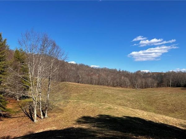 1266 Flatwoods School Road, Creston, NC 28615