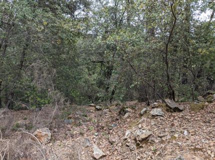 2 Eden Forest Dr, Colfax, CA 95713 Photo