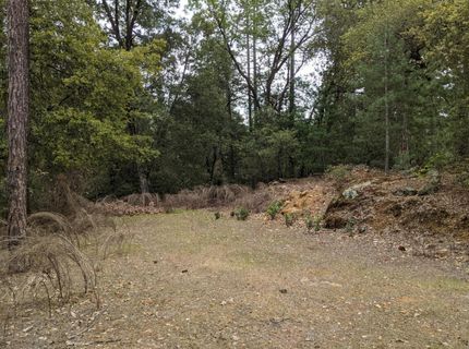 2 Eden Forest Dr, Colfax, CA 95713 Photo